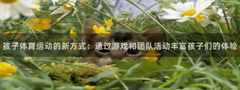 东莞市杏悦2电子科技有限公司