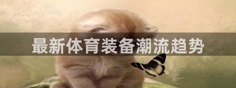 杏悦24
