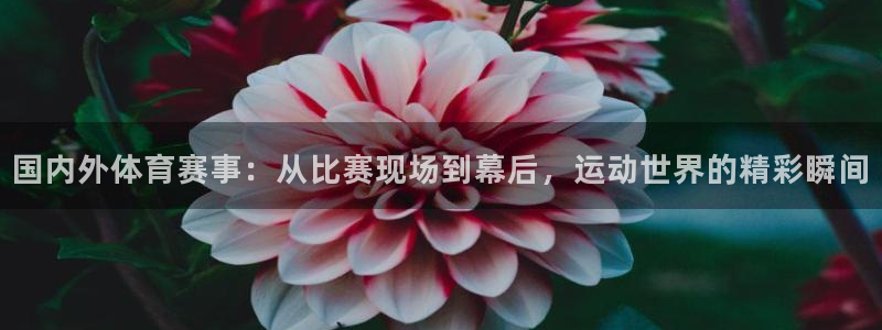 杏悦2凯捷平台