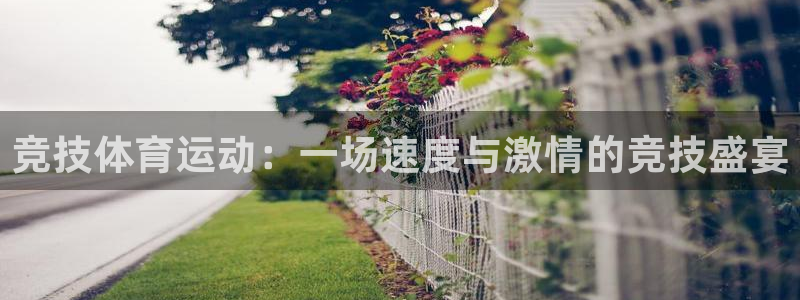 杏悦23代理