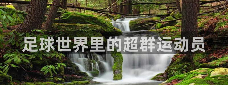 杏悦2平台登录