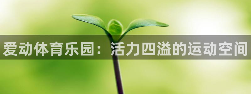杏悦2体育凯捷平台代理