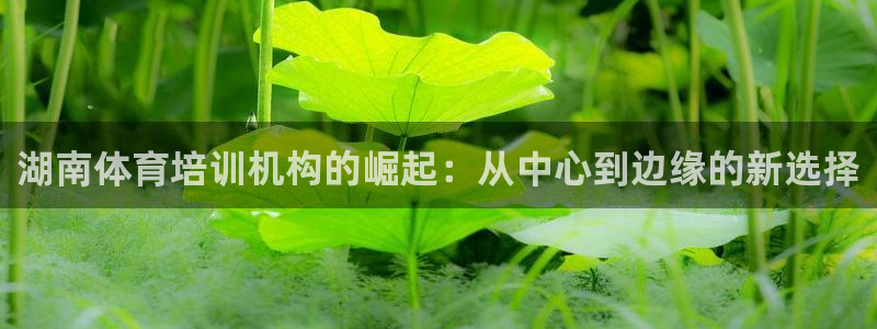 杏悦2官网