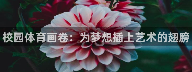 杏悦2体育平台开号链接