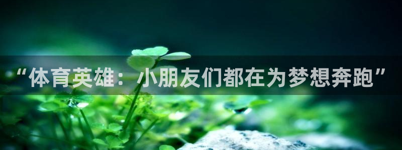 杏悦2体育凯捷代理注册