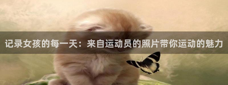 杏悦2平台总代理