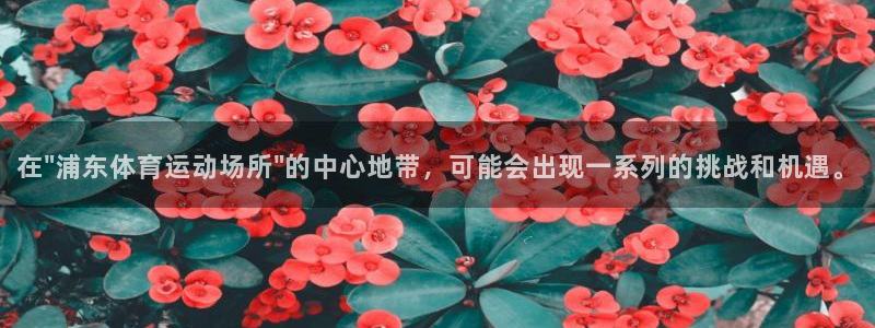 杏悦2体育