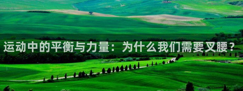 杏悦2f平台注册