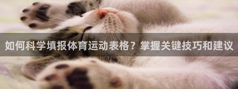 杏悦2登录注册
