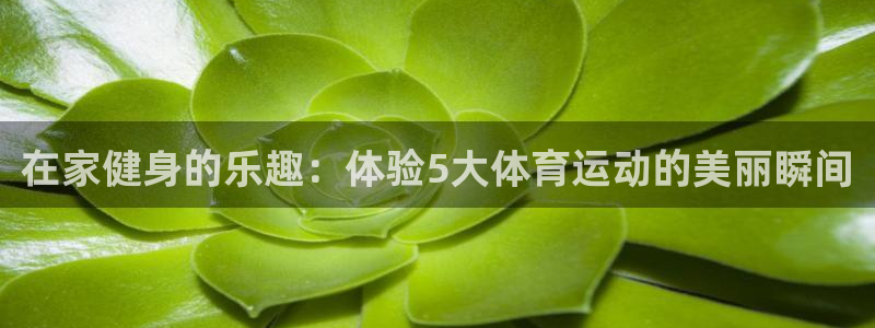 杏悦2体育凯捷代理注册