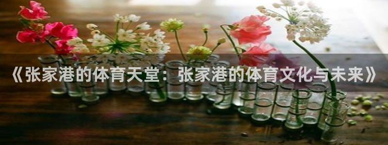 杏悦2体育游戏