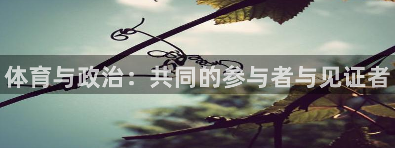 杏悦23代理