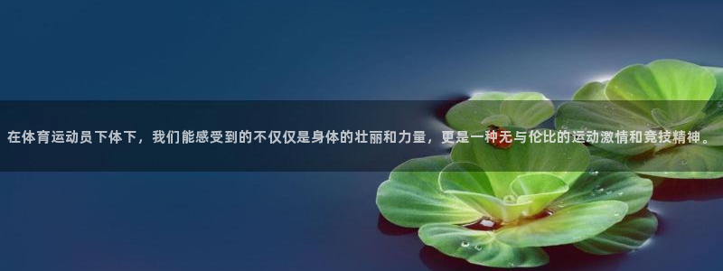 杏悦2体育网页版入口