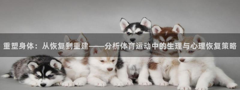 杏悦2体育网页版入口