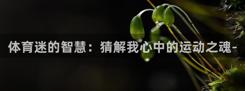 杏悦2平台登录